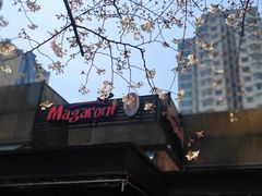 -玛格萝妮比萨屋(四平店)