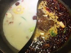 营养奶汤锅底-七秒鱼·斑鱼火锅(太阳城店)