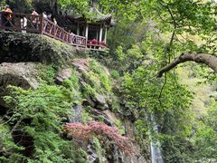 -莫干山风景区