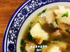 -老白家水盆羊肉