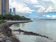 -深圳湾公园(南山区)