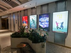 -大世界影城(无锡江南大悦城IMAX激光店)