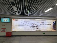 -肯德基(新八一店)