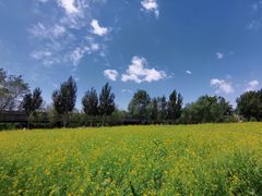 -长白岛森林公园