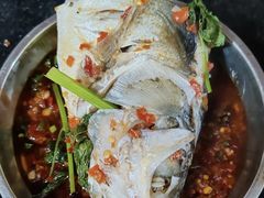 -老杨砂锅鱼庄