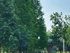 -白鹭湾湿地公园