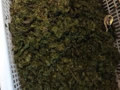 -陈先进鱼馆·夜宵·地道农家菜(湖墅南路店)