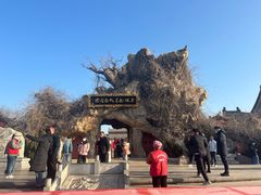 -大槐树寻根祭祖园