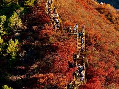 -水峪民俗村