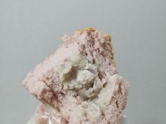 -台拾记古早味现烤蛋糕(新世界花苑店)