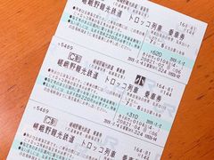 -岚山嵯峨野观光小火车