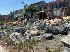 -龙大花卉苗木市场