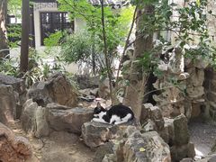 -西园戒幢律寺