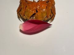 -木守西溪溪隐餐厅