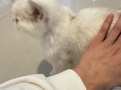 -平行世界·猫咖(首经贸店)