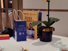 -顺德渔村·岭南一号