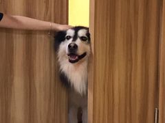 -白兔子密室(长寿路店)