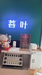 -菩叶脱发白发中心