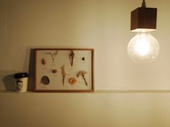 -red donkey coffee