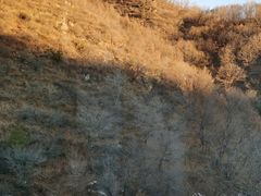 -赤峰美林谷四季山度假酒店