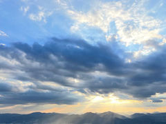 -长虫山生态公园风景林