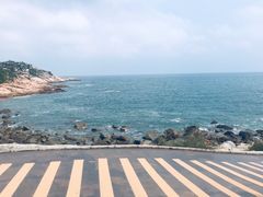 -广东惠东海龟国家级自然保护区