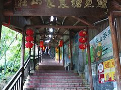 -鲤鱼塘农家山庄