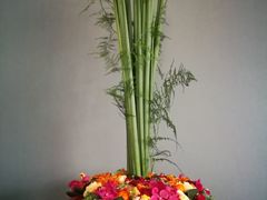 -荷兰布尔玛国际花艺学院