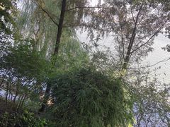-湖滨客舍·湖北菜