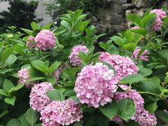 -江南大学附属医院(北院区)