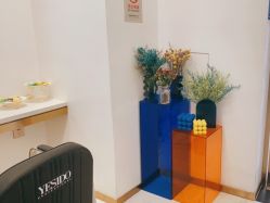-YESIDO椰岛造型