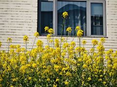 -锦江宾馆-花园餐厅
