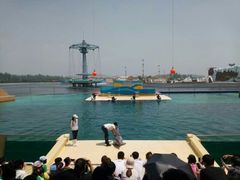 -秦皇岛乐岛海洋王国