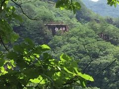 -五女峰国家森林公园