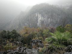 -千岛湖石林