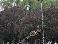 -西安秦岭野生动物园