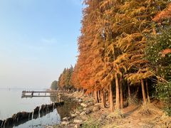 -长广溪湿地公园
