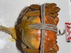 -杨氏青龙虾·羊肉季(金盛路总店)