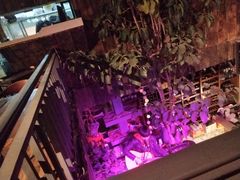 -大理岛·精品云南菜·音乐餐厅