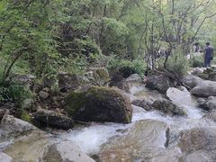 -王顺山国家森林公园