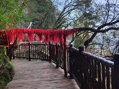 -塔云山
