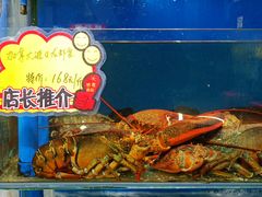 -蚝专家(北滘店)