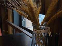 -春草居酒屋·晴子の店