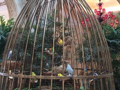 iphone_upload_pic-深圳东部华侨城茵特拉根酒店