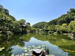 -云溪植物园