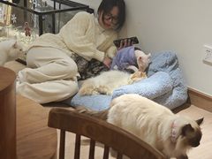 -有猫主题·治愈系猫咖(曾厝垵店)