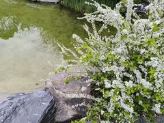 -上海吴淞炮台湾国家湿地公园