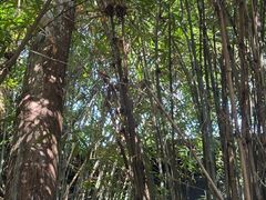 -三江森林温泉度假区