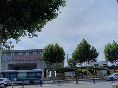 -武汉关码头(轮渡站)