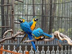 -北京野生动物园